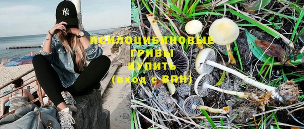 винт Новокубанск