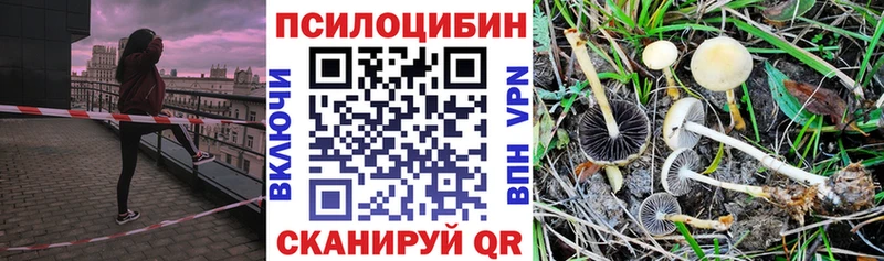 закладки  Петухово  Галлюциногенные грибы ЛСД 